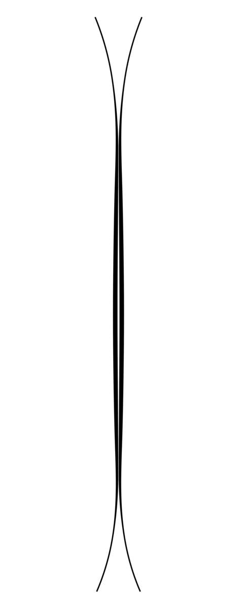 WHITEWALKER 121 2024