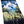 SKUNK APE